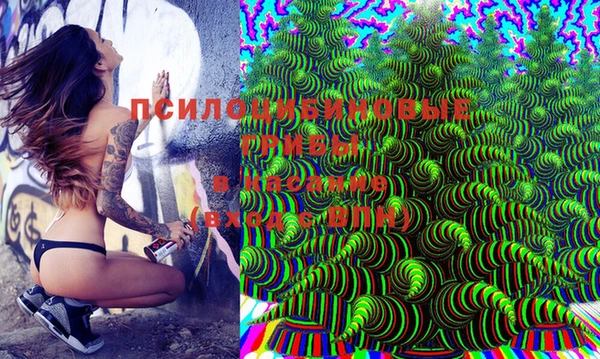 таблы Елабуга