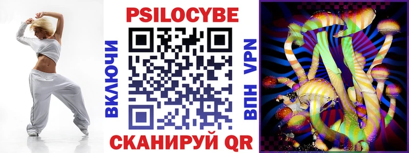 Псилоцибиновые грибы Psilocybe  Купить закладки  Йошкар-Ола 